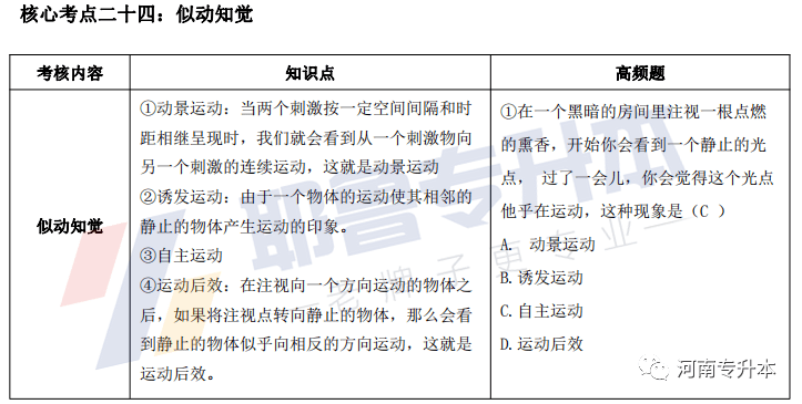 澳门一码一肖一待一中四不像,综合分析解释定义_CT86.297